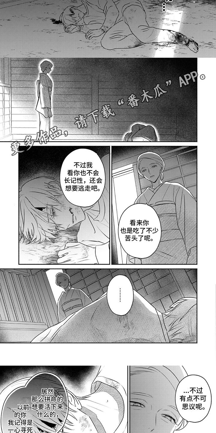 光与夜之书漫画,第31话3图