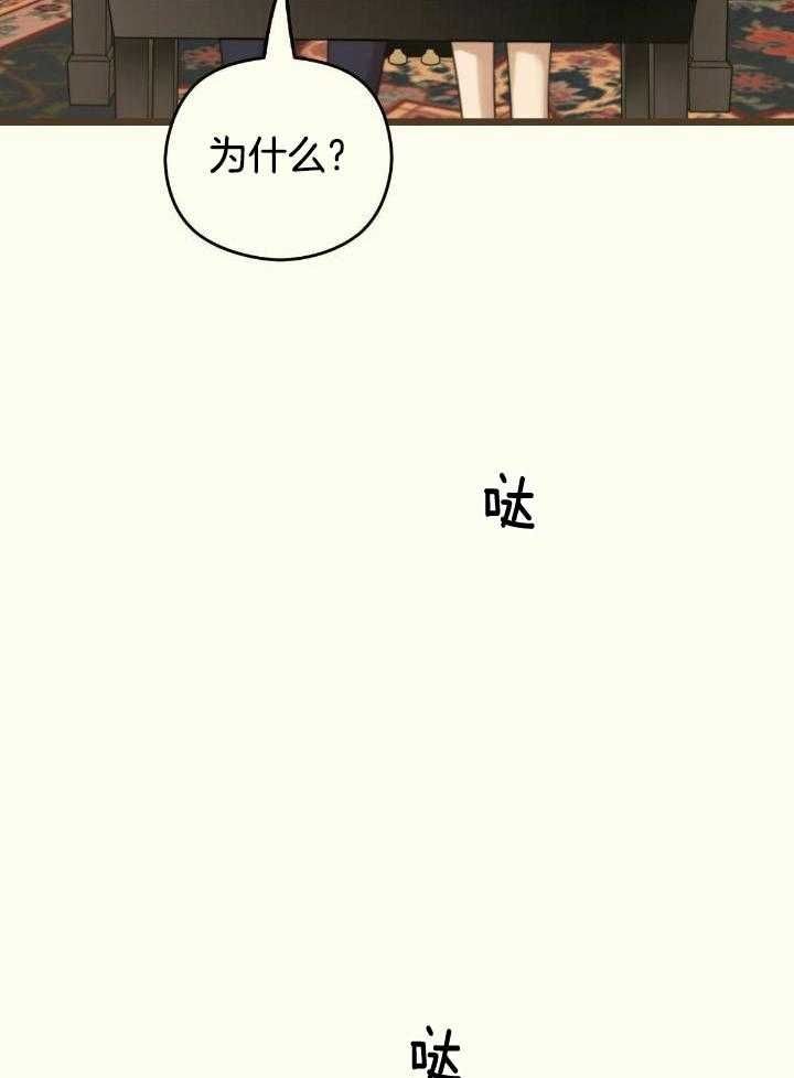 邂逅猫十六漫画,第47话5图