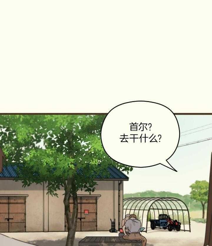 邂逅猫十六漫画,第44话1图