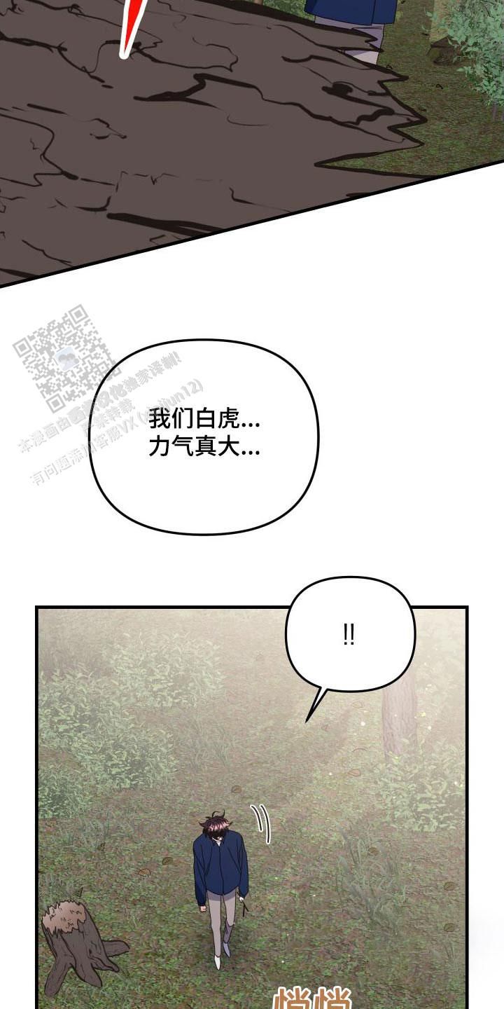 虎从天降漫画,第78话2图