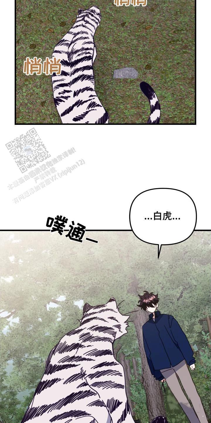 虎从天降漫画,第78话3图