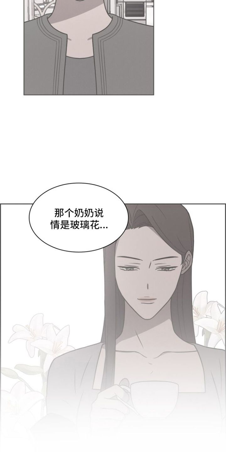 玻璃花房尺寸漫画,第33话5图