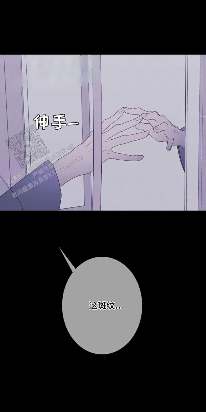 异界关系看不懂漫画,第98话1图