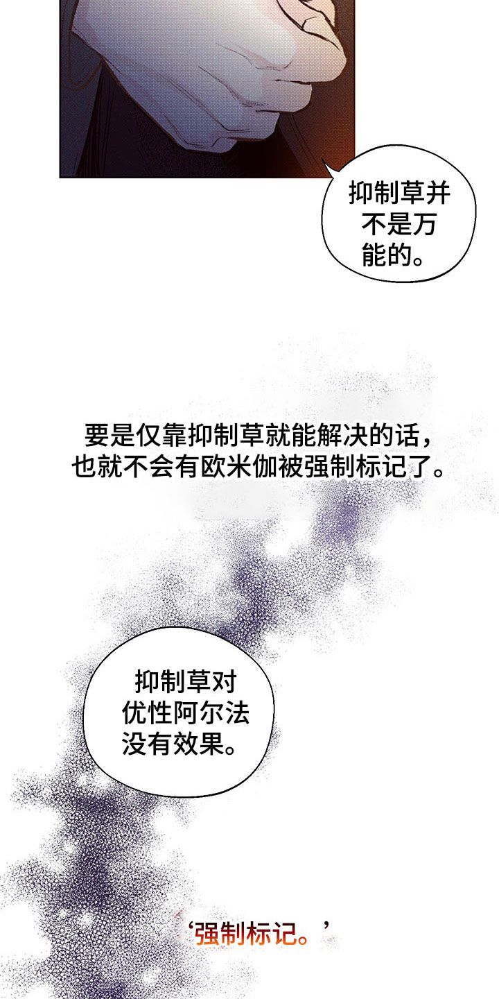 凛冬雪是什么意思漫画,第3话4图