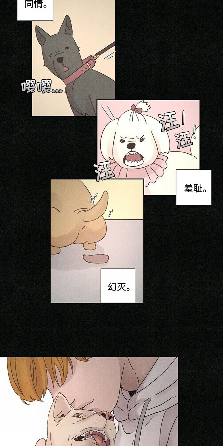 爱情生长的内在依据是漫画,第1话3图