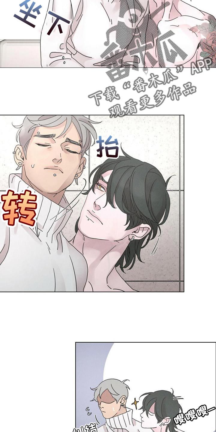 爱情什么时候会出现塔罗漫画,第40话2图