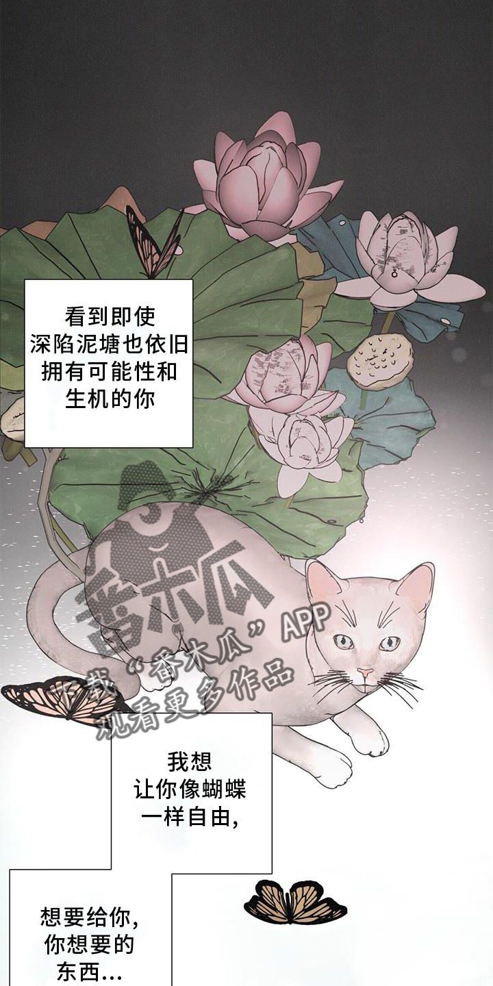 爱情生长的内在依据是漫画,第43话4图