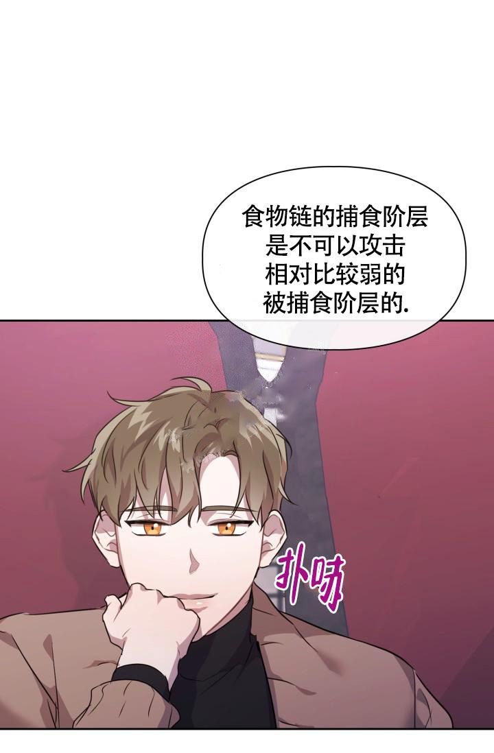 诱饵gl晓暴txt下载漫画,第8话1图