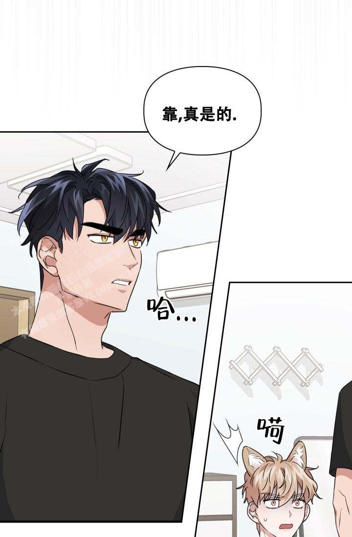 诱饵玉堂结局漫画,第37话4图