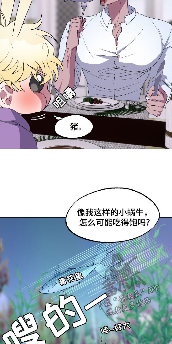 海兔新娘完结了吗漫画,第25话1图