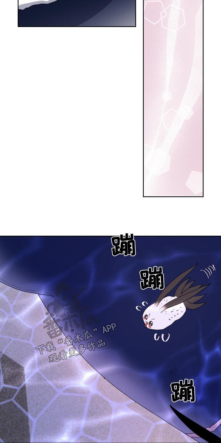 海兔新娘大结局漫画,第34话5图