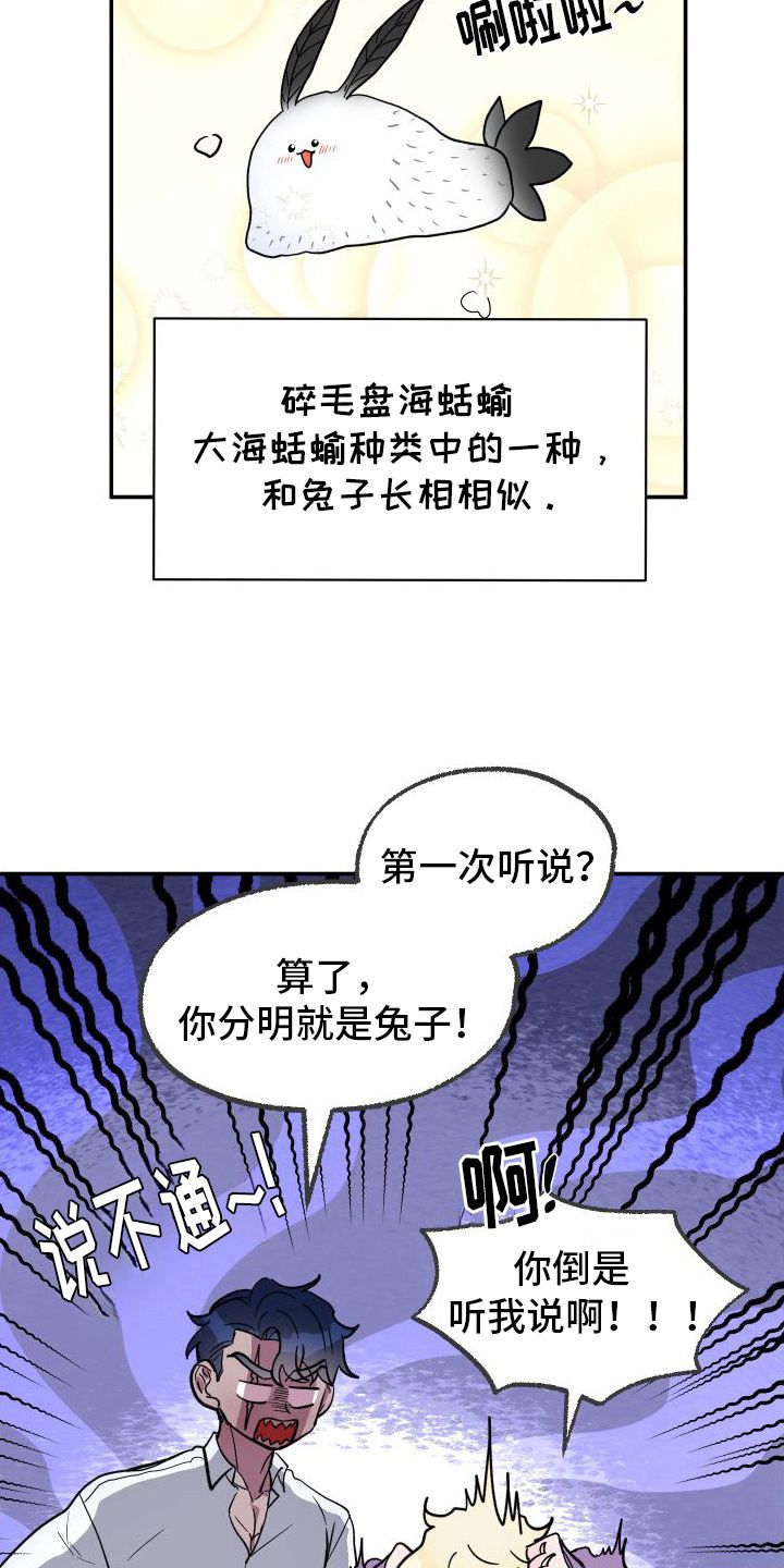 海兔新娘大结局漫画,第4话4图