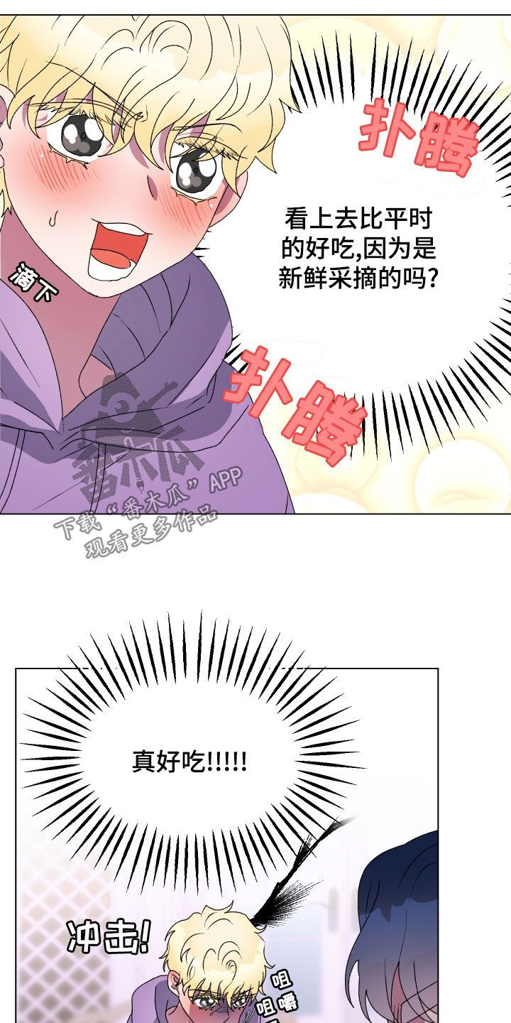 海兔新娘漫蛙叫什么漫画,第19话3图