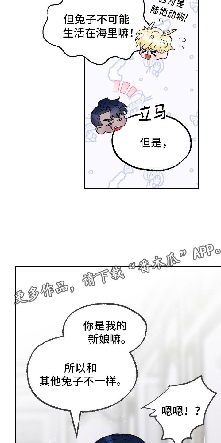 海兔新娘动漫漫画,第4话2图