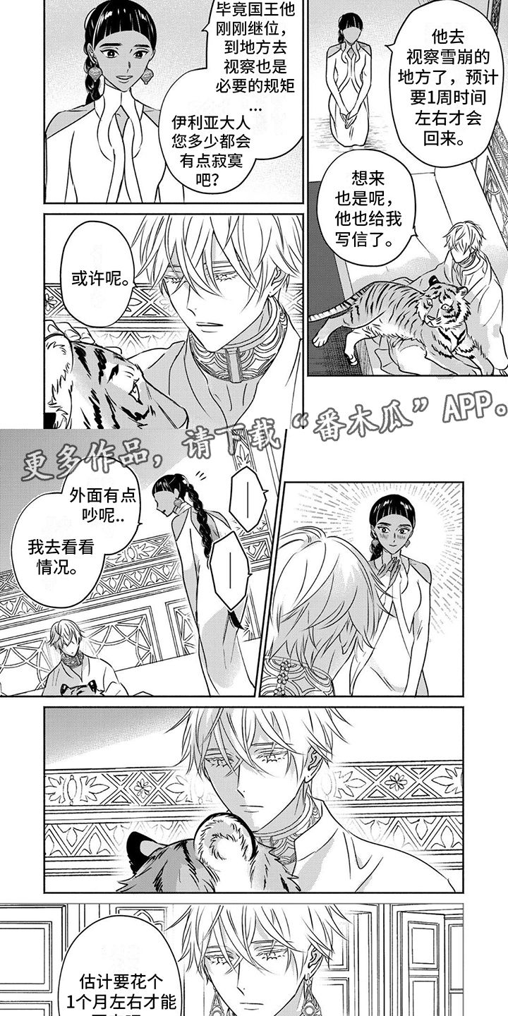 欧米伽王后漫画在哪看漫画,第11话2图