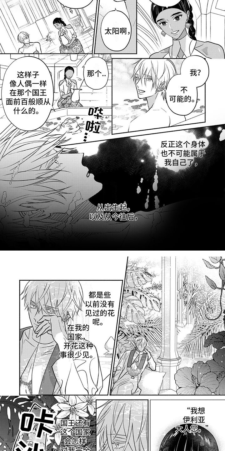 欧米伽王后漫画最新漫画,第2话4图