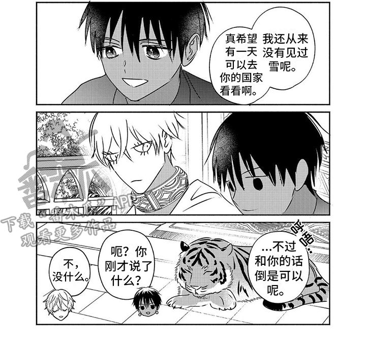 欧米伽王后漫画在哪看漫画,第20话4图