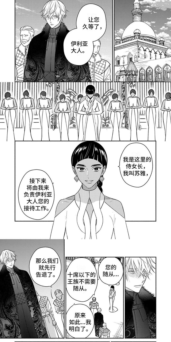 欧米伽表介绍漫画,第1话1图