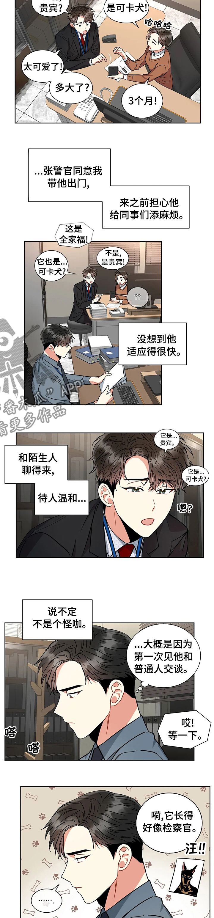 癫狂之境疯狂之地漫画,第39话4图