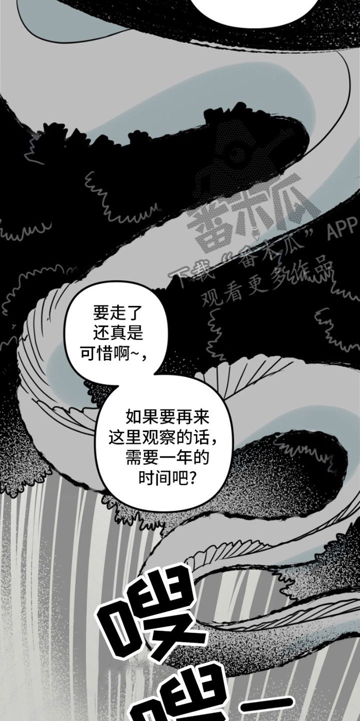 绿色世界壁纸漫画,第5话3图