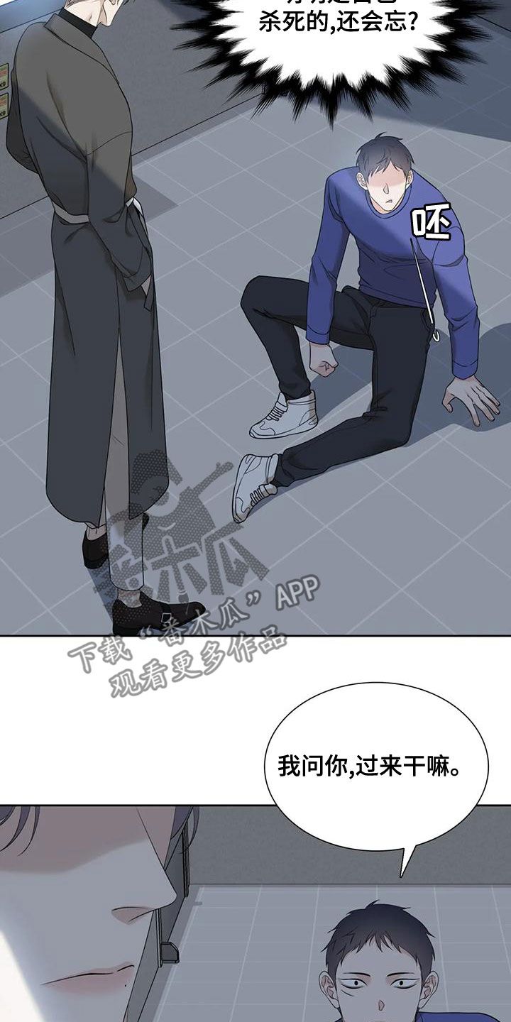 狂徒后爱免费完整版漫画,第43话3图