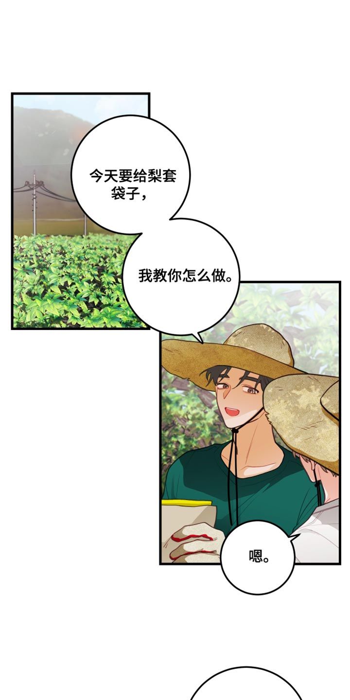 谁吻了我漫画解说漫画,第75话1图