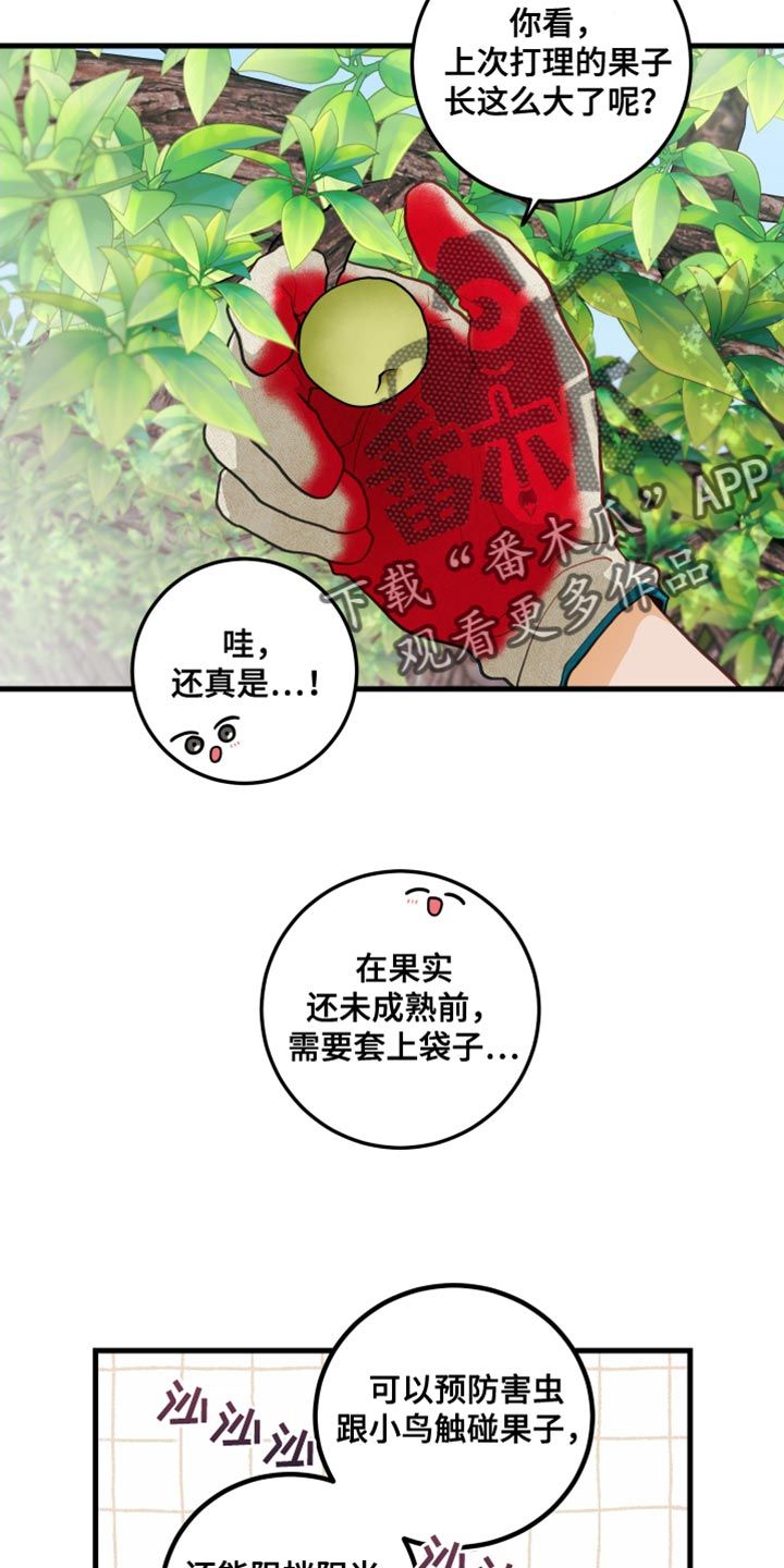 谁吻了我漫画,第75话2图