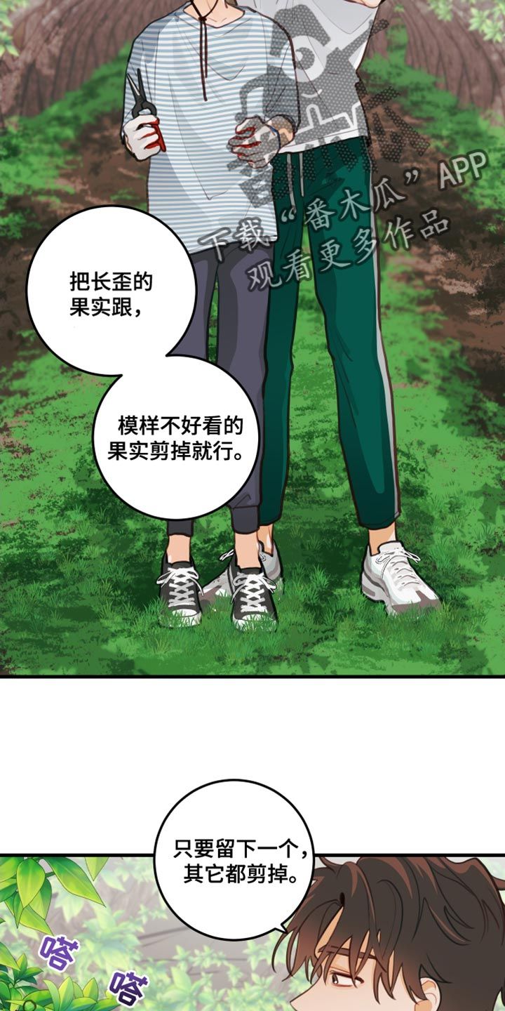 谁吻了我漫画,第33话4图