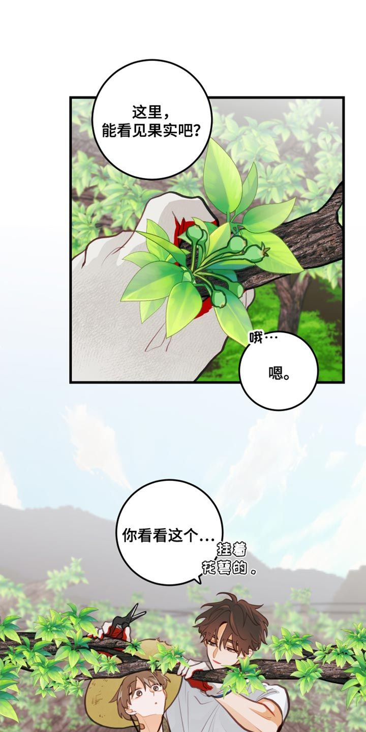 谁吻了我漫画,第33话3图