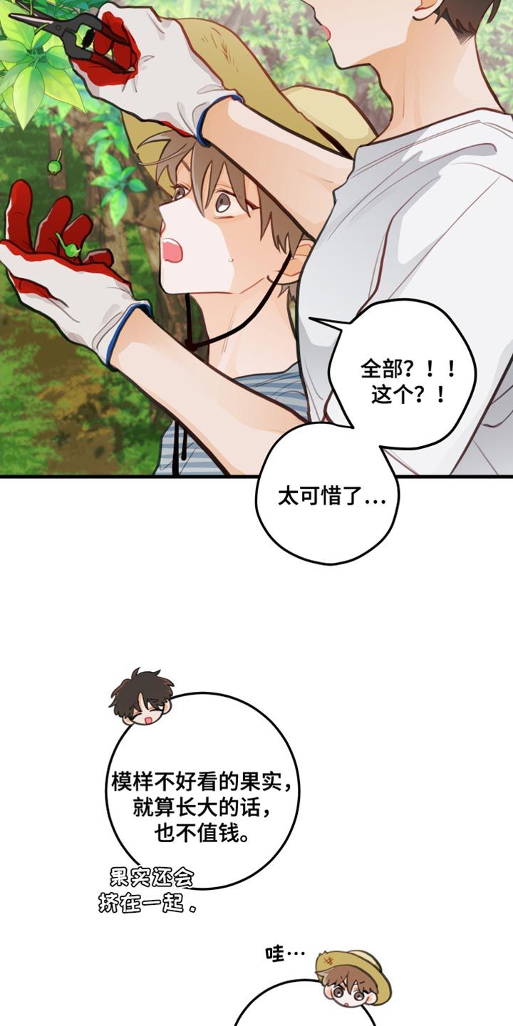 谁吻了我第一季漫画,第33话5图