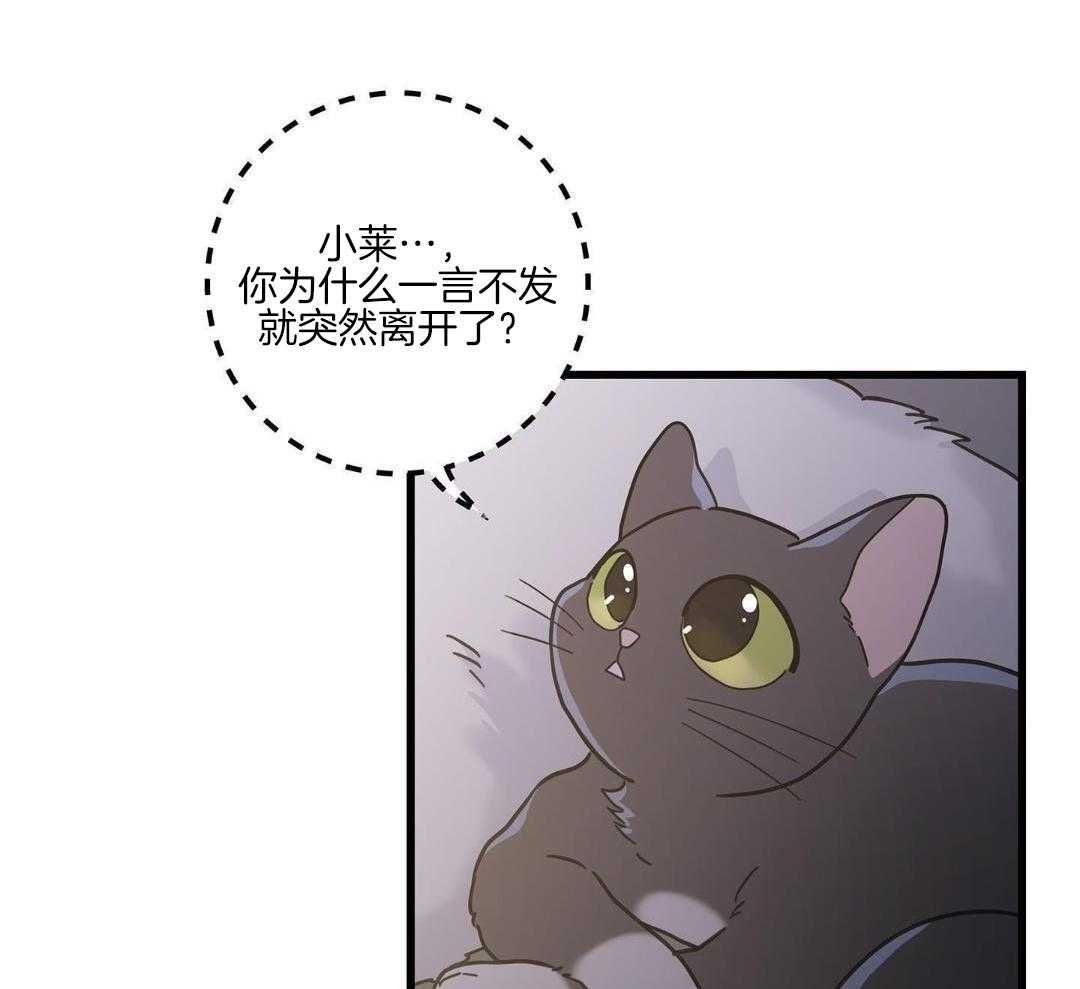 我唯一的情歌韩剧免费观看漫画,第42话1图