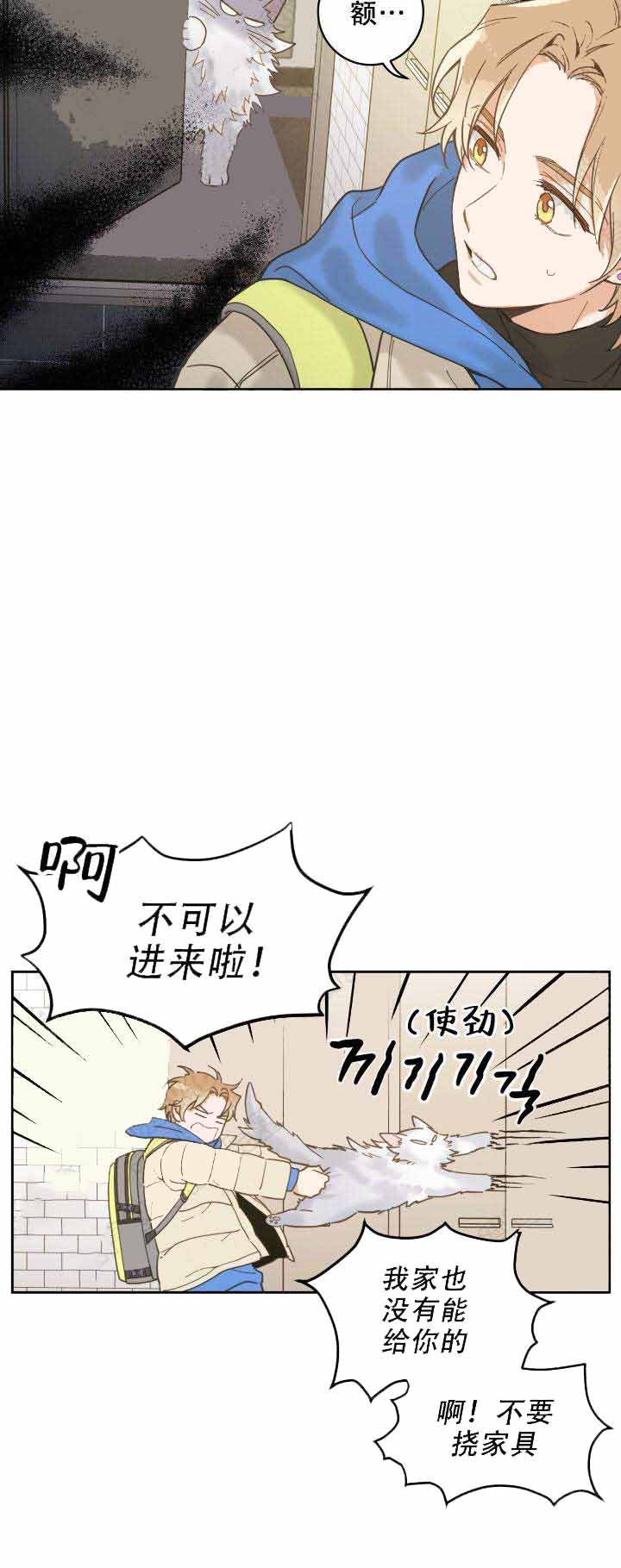 我唯一的猫猫动漫漫画,第3话4图