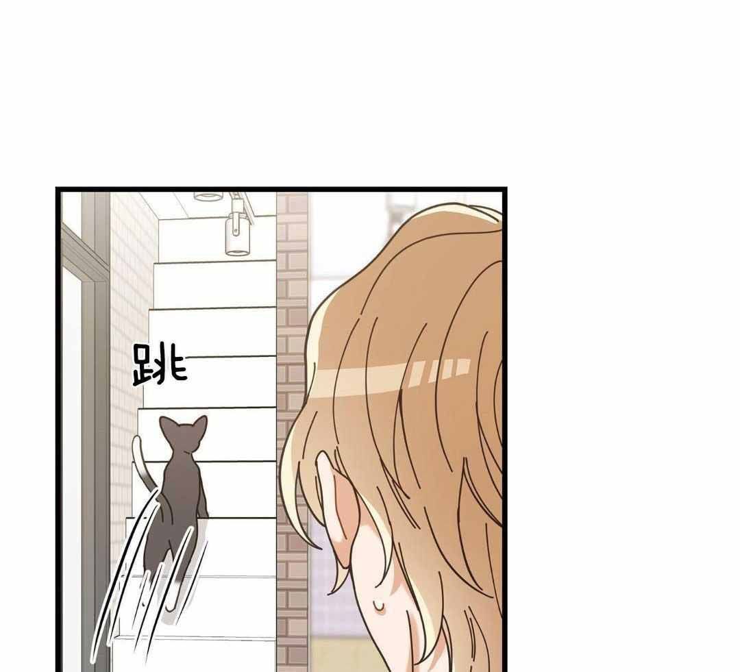 我唯一的猫猫漫画全集漫画,第58话4图