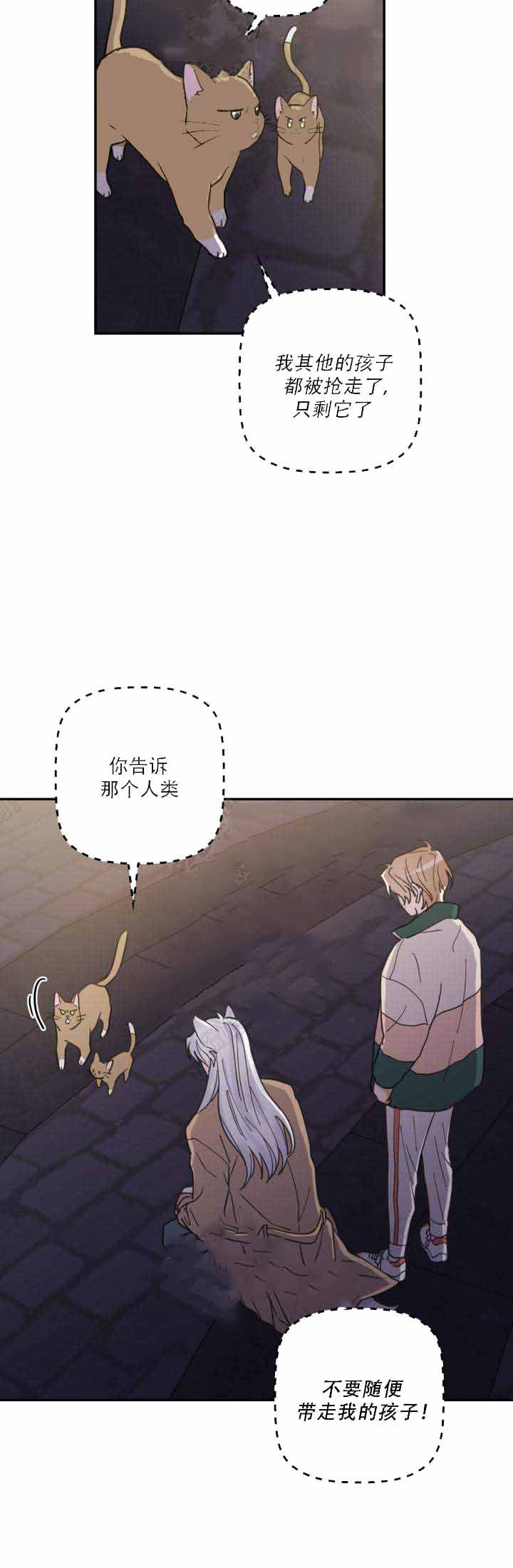 我唯一的猫猫漫画免费漫画,第18话4图