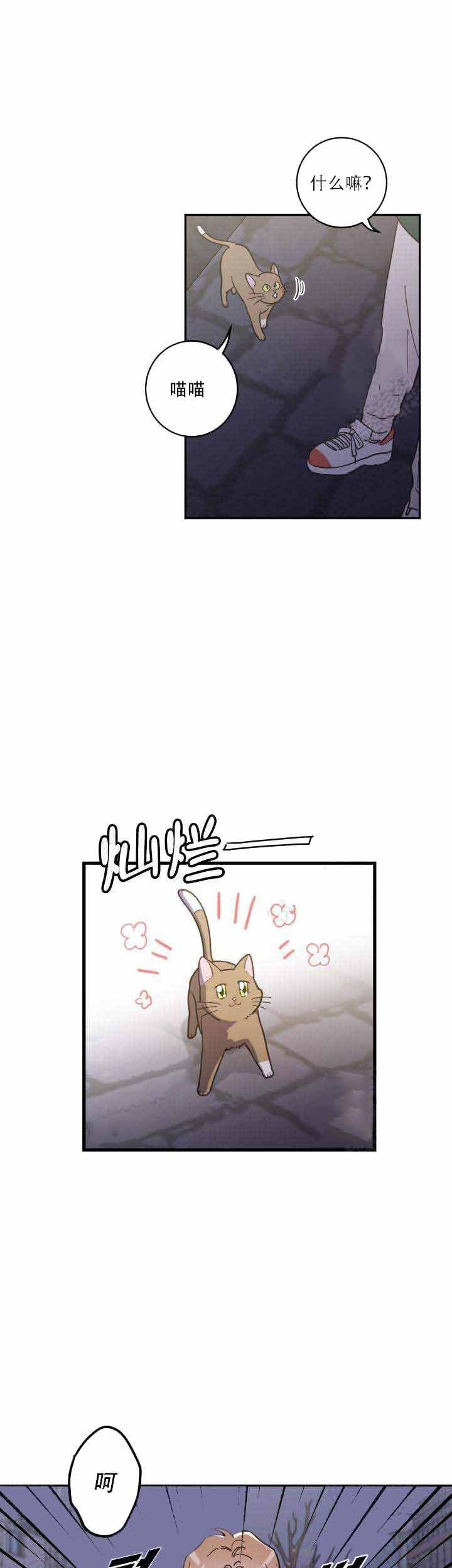 我唯一的猫猫漫画全集下拉式漫画,第17话4图