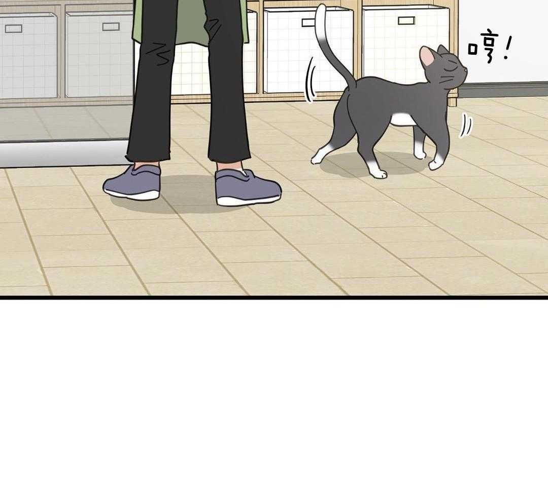 我唯一的猫猫漫画免费车漫画,第58话3图