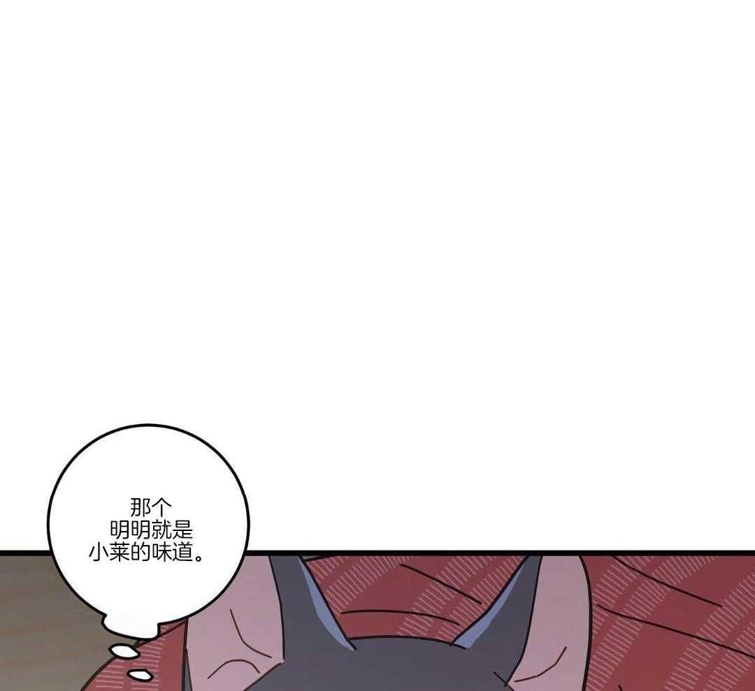 我的唯一猫猫漫画漫画,第37话5图