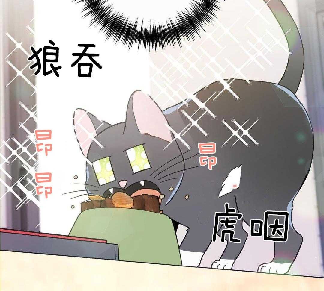 我唯一的猫猫sonyeon漫画,第35话5图