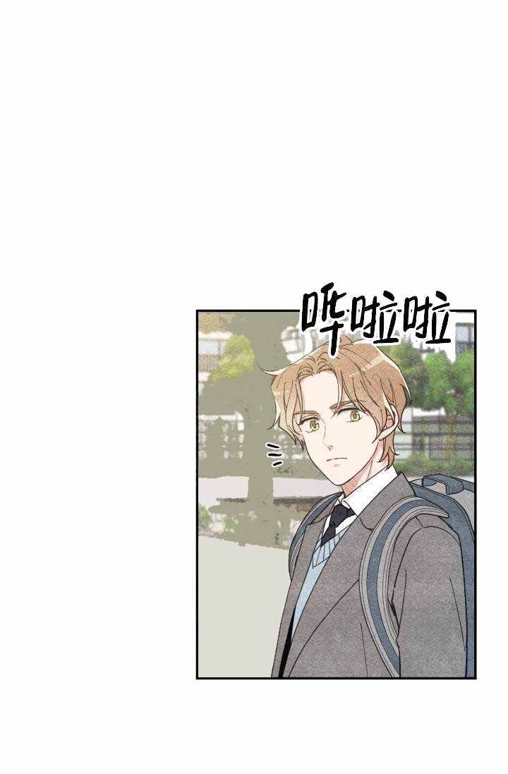 我唯一的猫咪在线阅读漫画,第19话5图