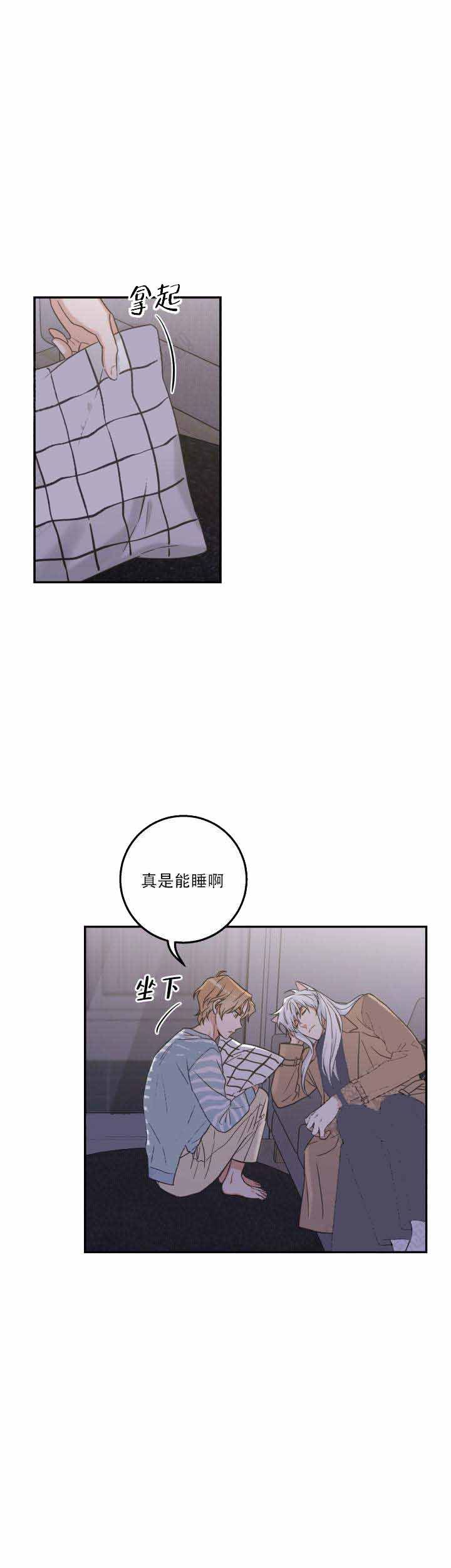 我唯一的猫猫漫画漫画,第20话4图