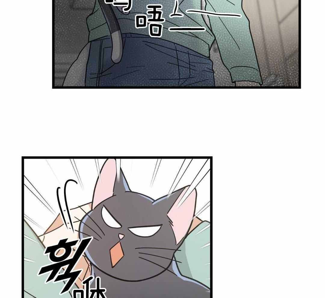 我的唯一猫猫漫画漫画,第46话3图