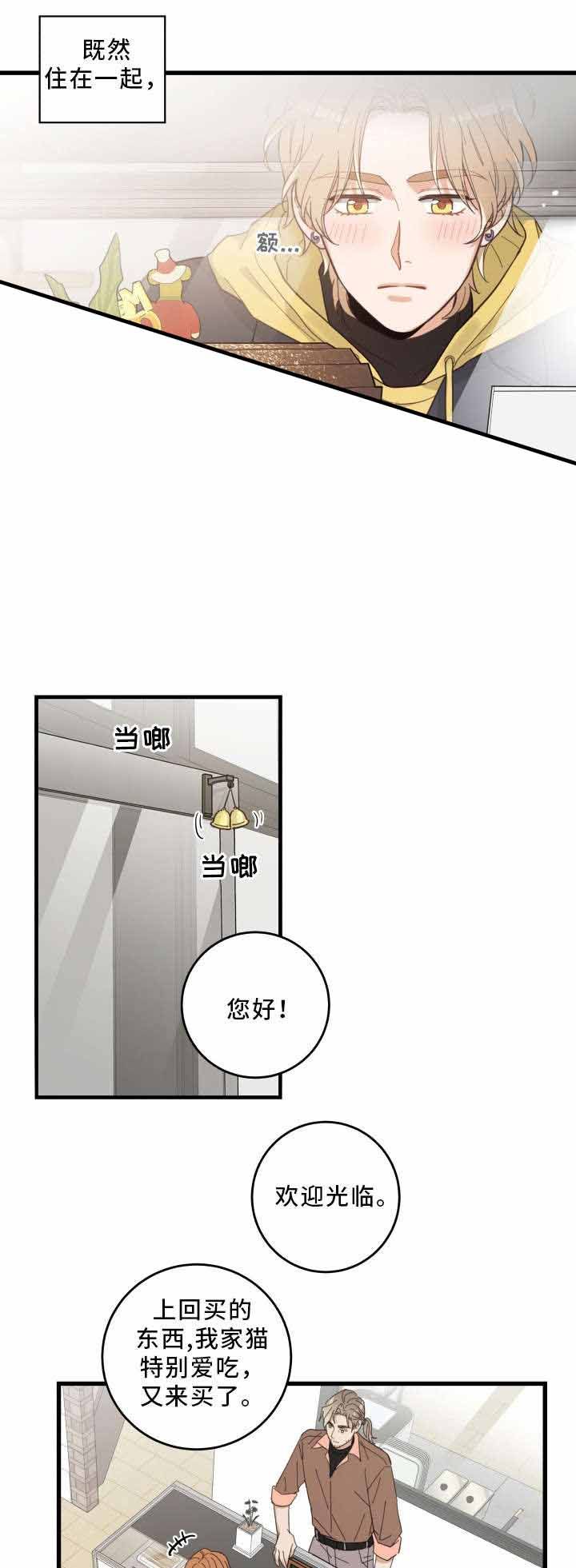 我唯一的猫猫sonyeon漫画,第25话3图