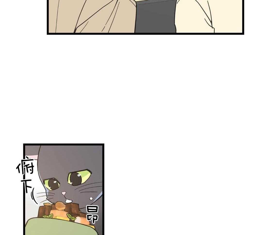 我唯一的猫猫sonyeon漫画,第35话3图