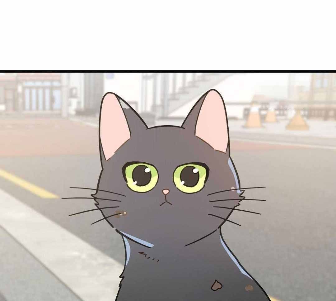 我唯一的猫猫动漫漫画,第33话5图