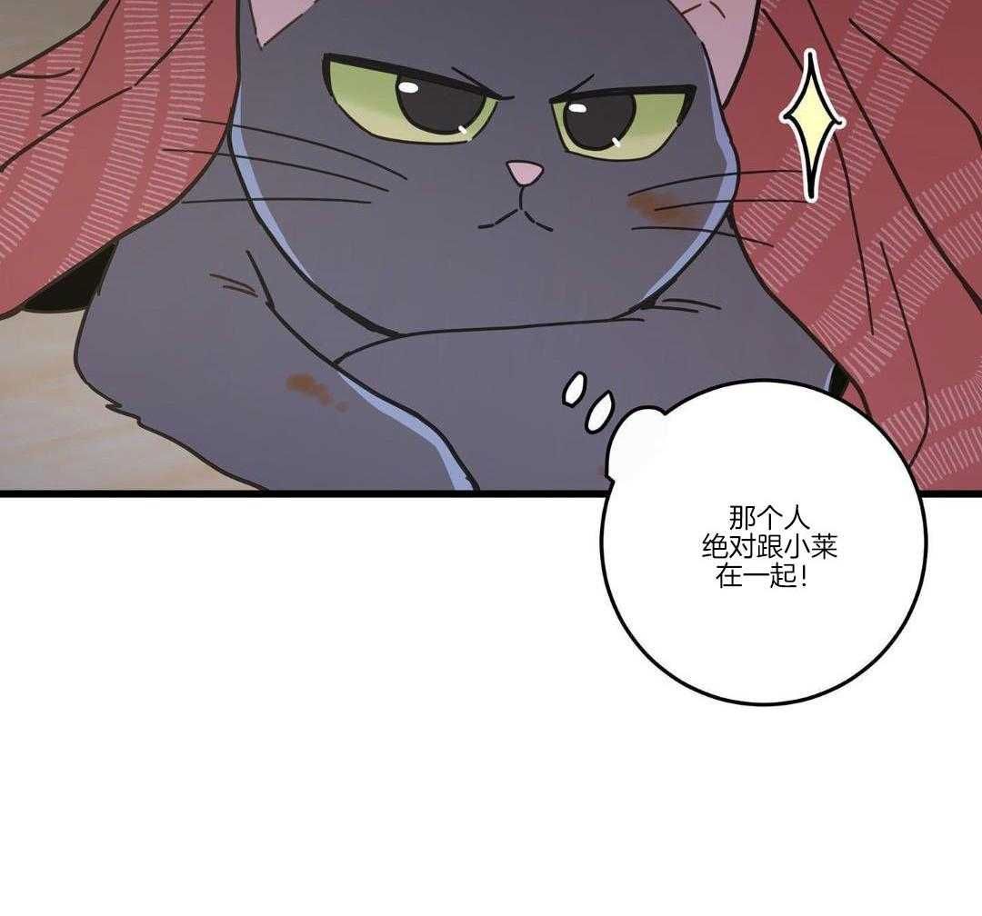 我的唯一猫猫漫画漫画,第37话1图