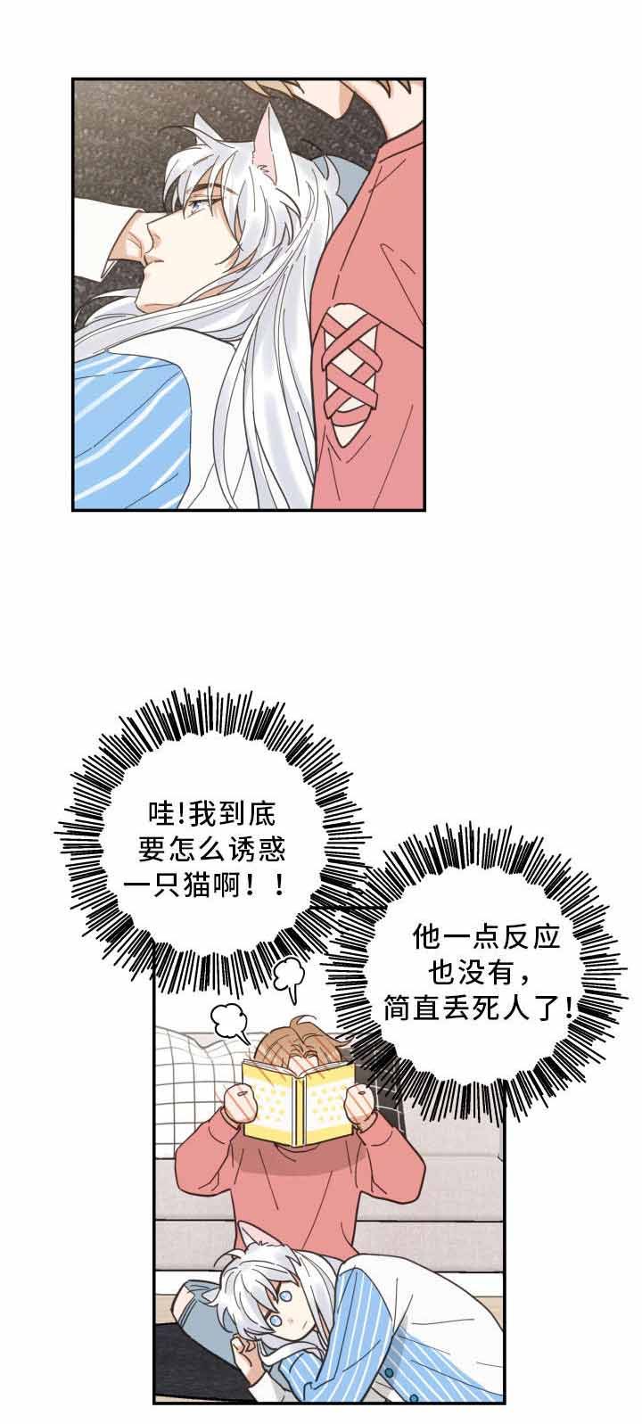 我唯一的猫猫sonyeon漫画,第21话3图