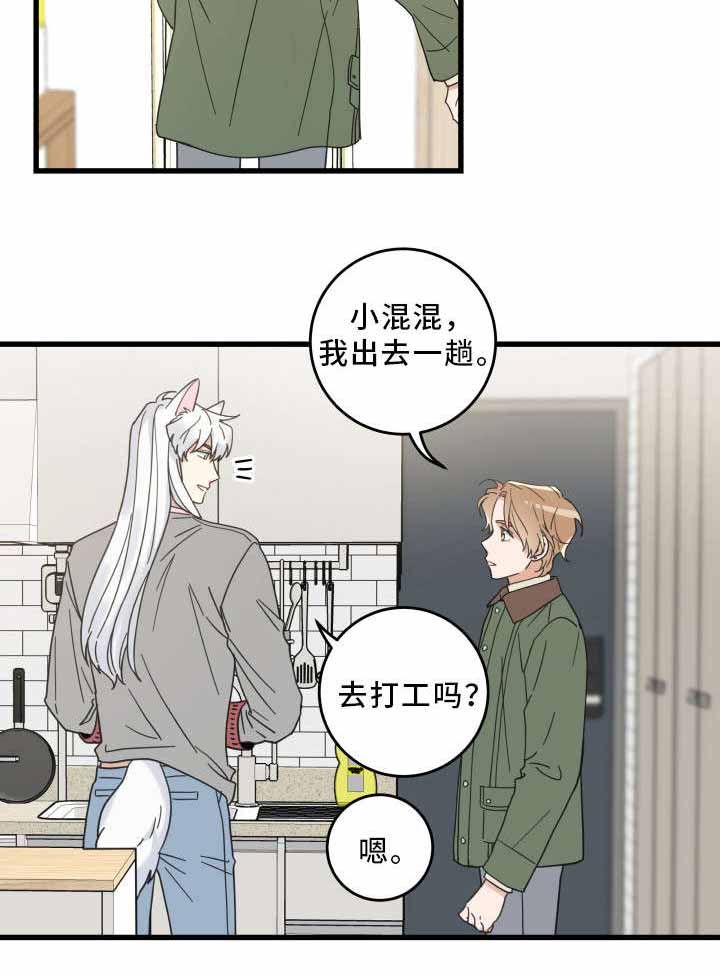 我的唯一猫猫漫画漫画,第31话4图