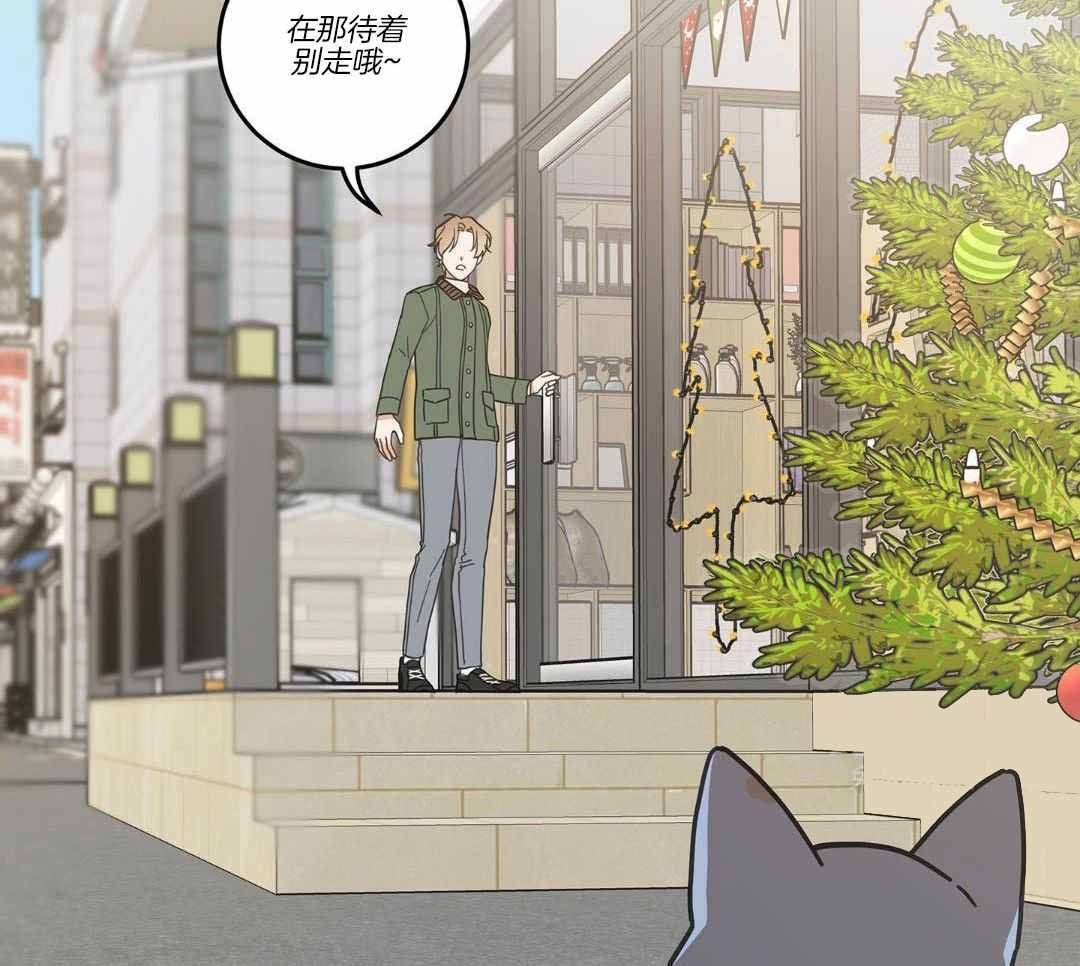 我唯一的猫漫画全集漫画,第33话3图