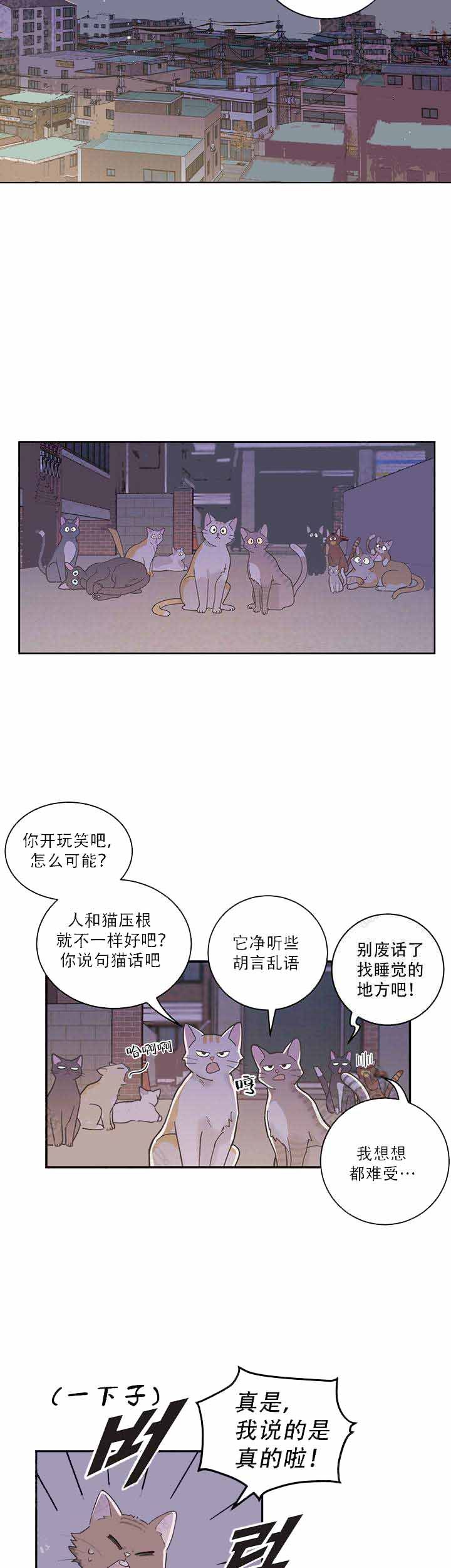 我的唯一猫猫漫画漫画,第1话2图