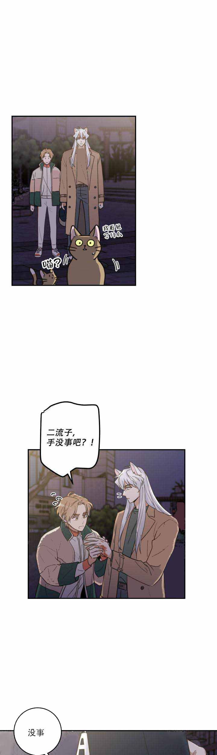 我唯一的猫猫漫画免费漫画,第18话5图